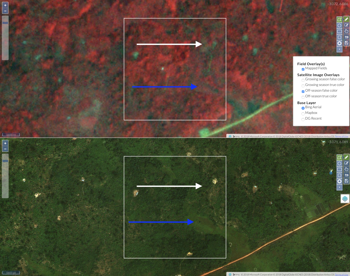 Recent clearing (white arrow) and annual cropland (blue arrow) in Ghana's cocoa-growing region.